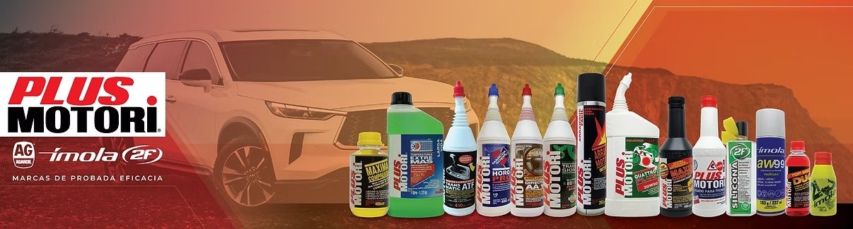 Lubricantes Plus Motori